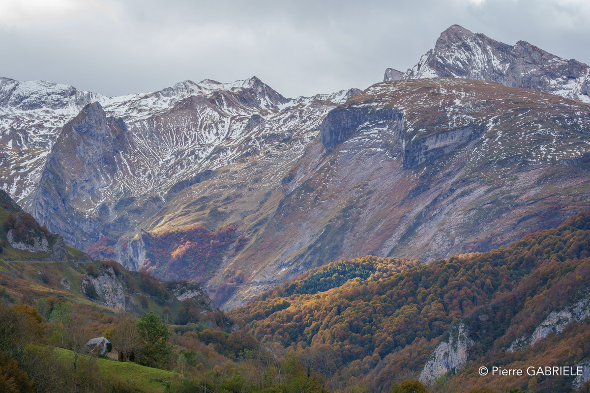 soulor-A74_01031.jpg