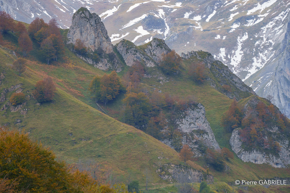 soulor-A74_01033.jpg