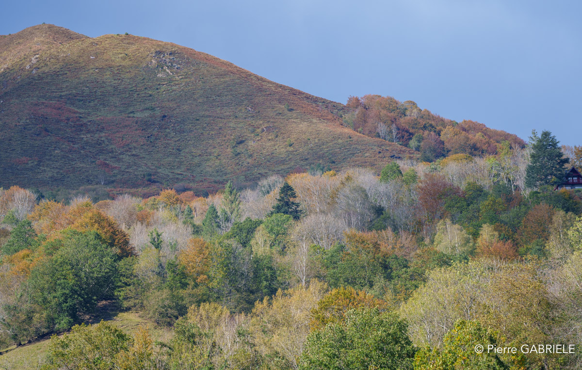 soulor-A74_01035.jpg