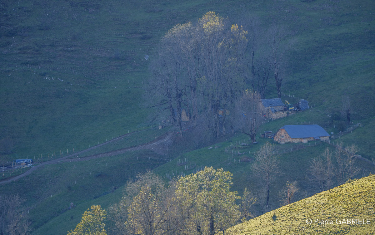 soulor-A74_01038.jpg