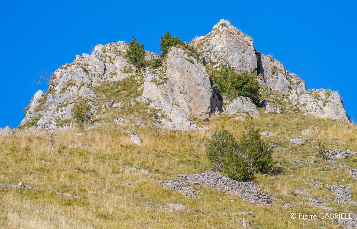 soulor-A74_01043.jpg