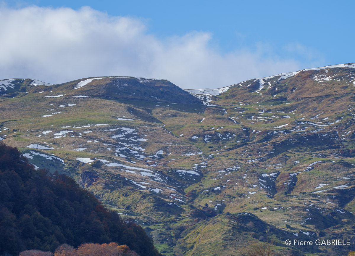 soulor-A74_01045.jpg