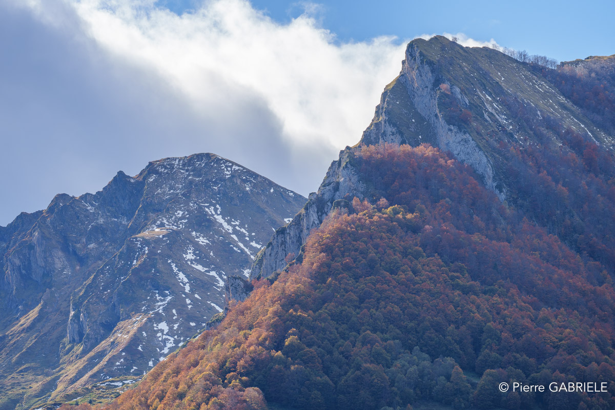 soulor-A74_01054.jpg