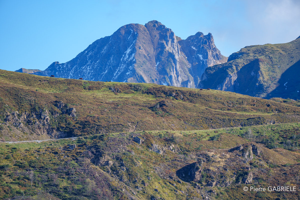 soulor-A74_01055.jpg