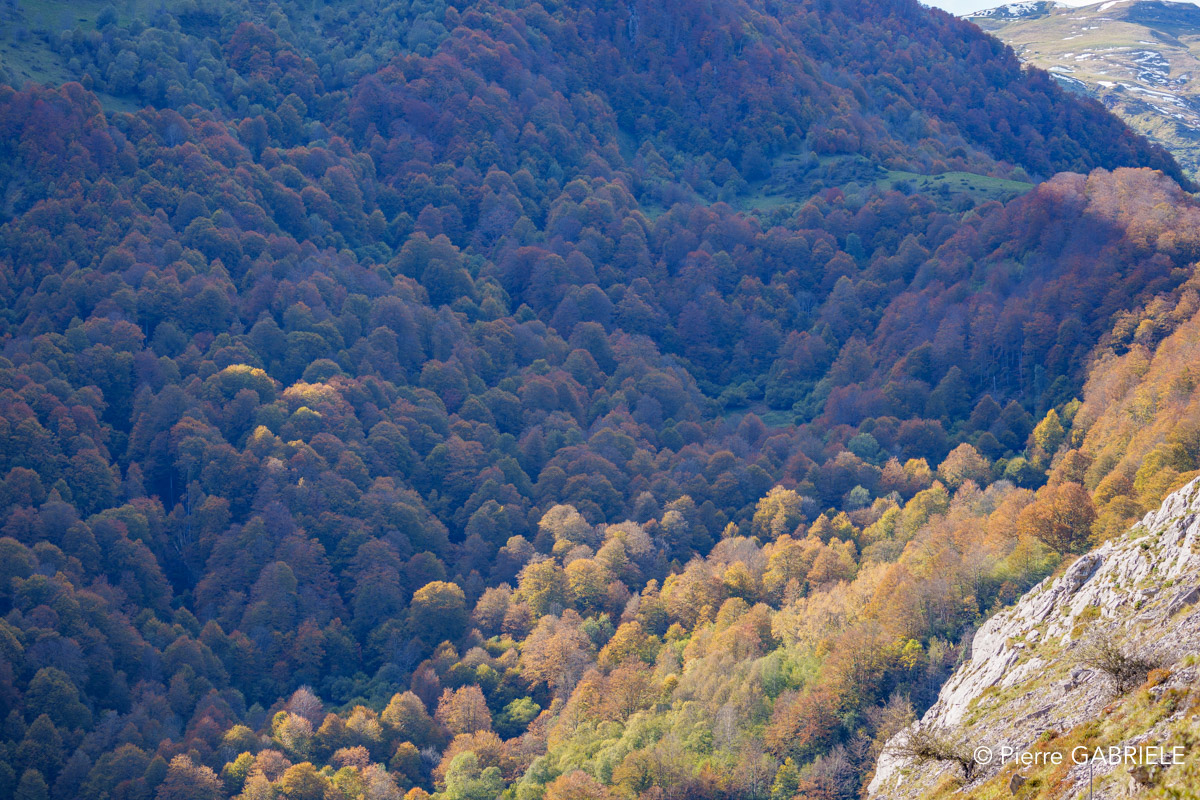 soulor-A74_01057.jpg