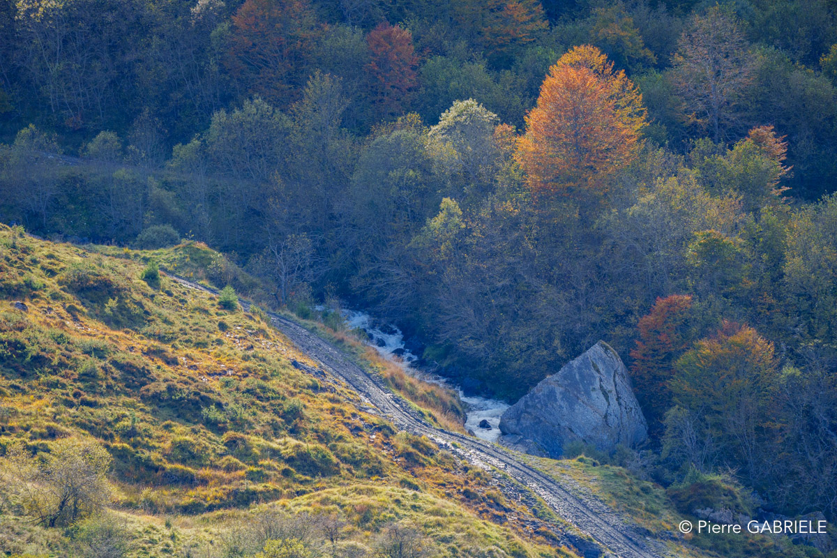 soulor-A74_01065.jpg