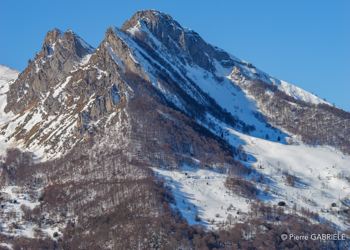 soulor-gh6_4761.jpg
