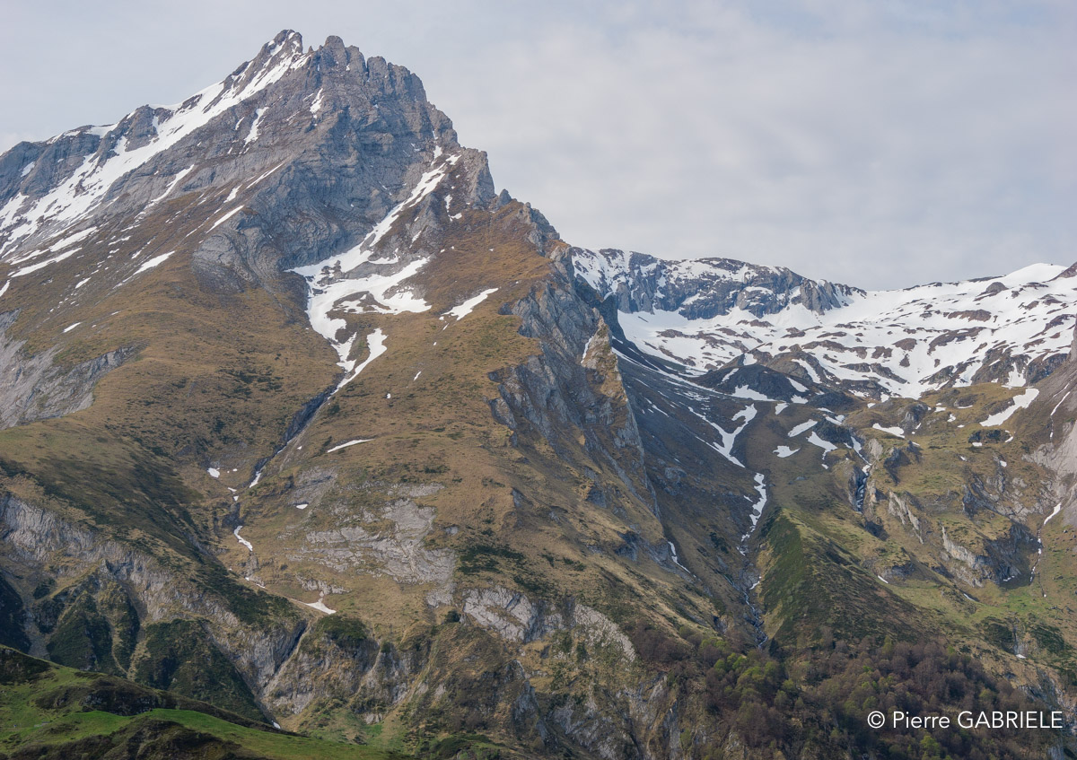 soulor-gh6_4933.jpg