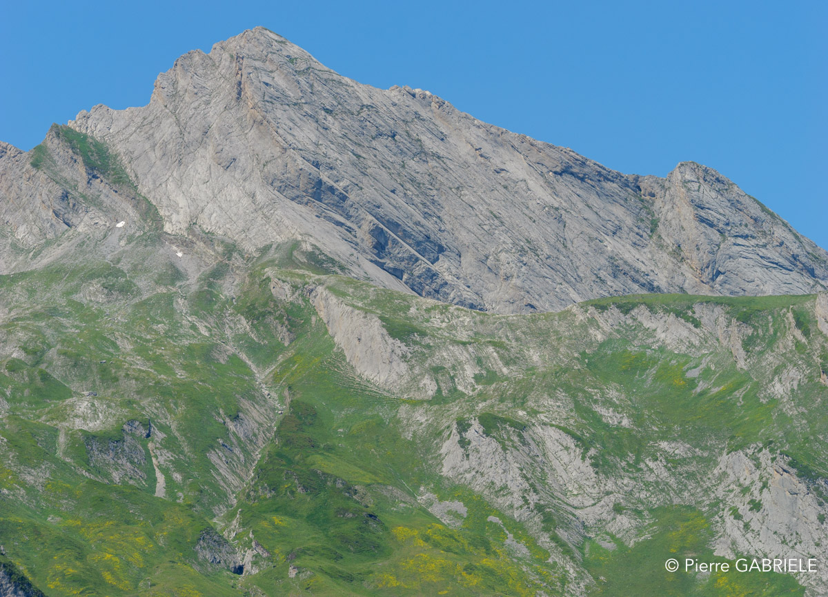 soulor-gh6_5561.jpg