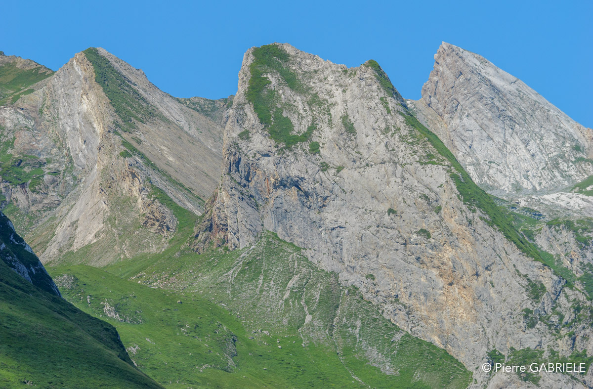 soulor-gh6_5564.jpg