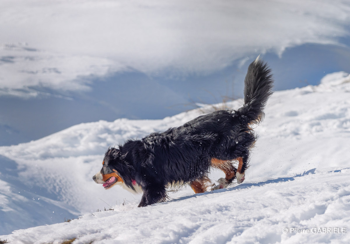 soulor-gh7_0593.jpg