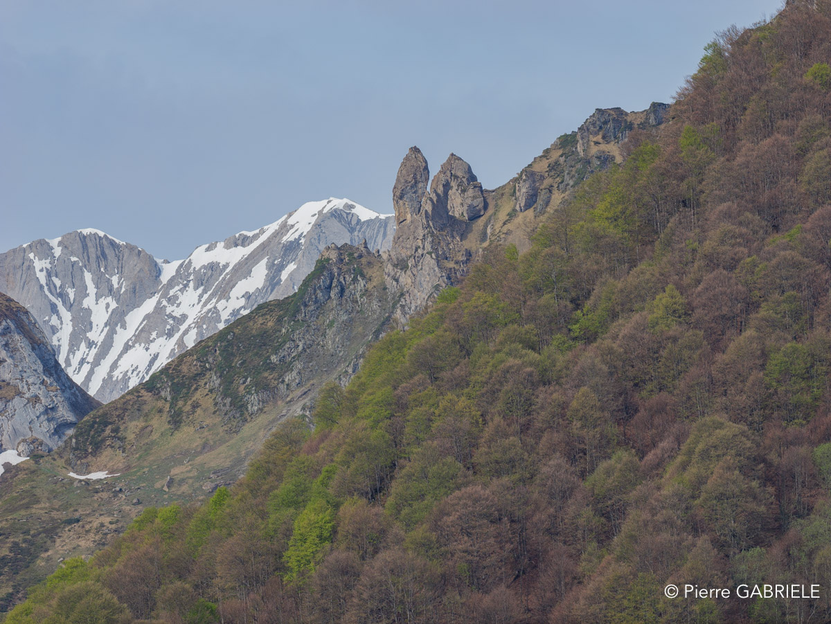 soulor-gh7_0717.jpg