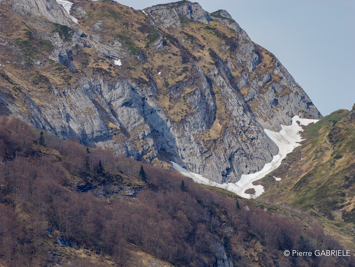 soulor-gh7_0726.jpg