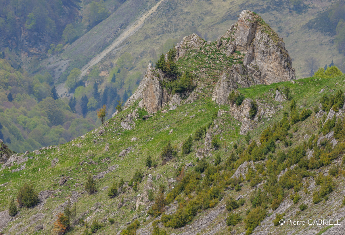 soulor-gh7_0730.jpg