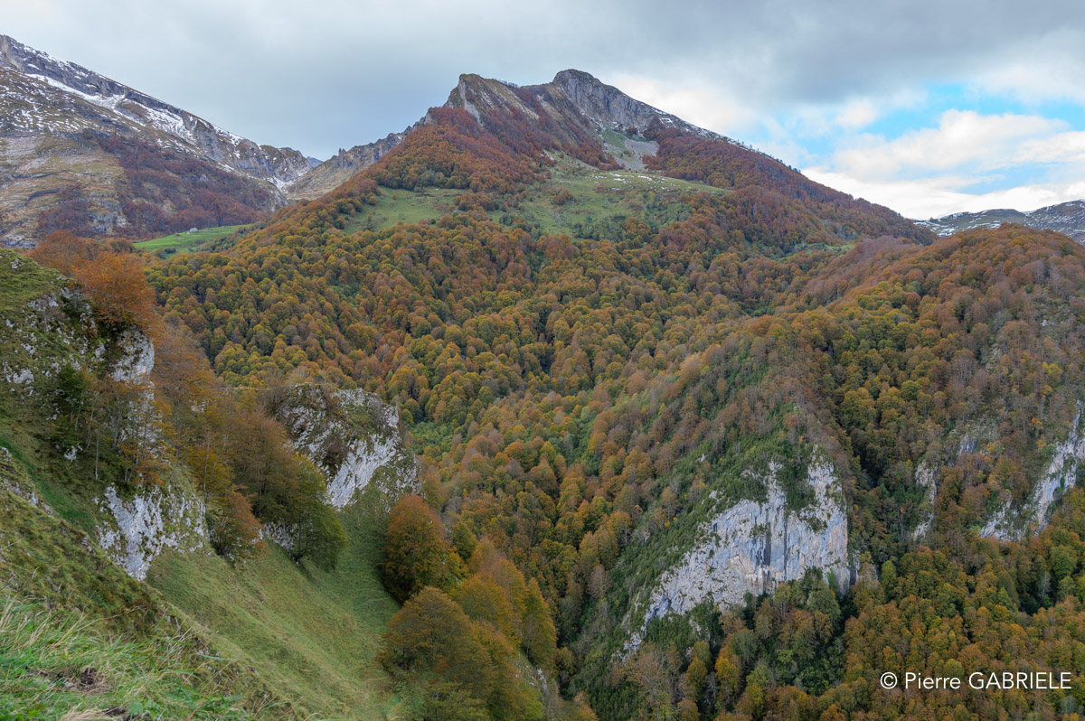 soulor-gh7_3226.jpg