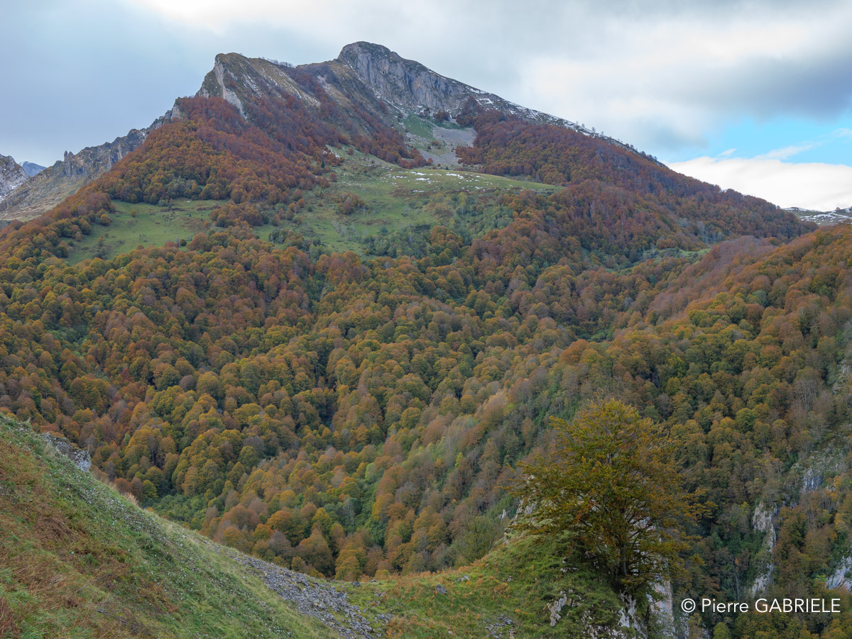 soulor-gh7_3229.jpg