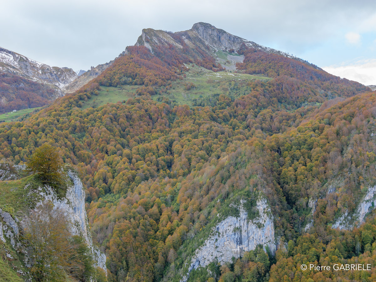 soulor-gh7_3234.jpg