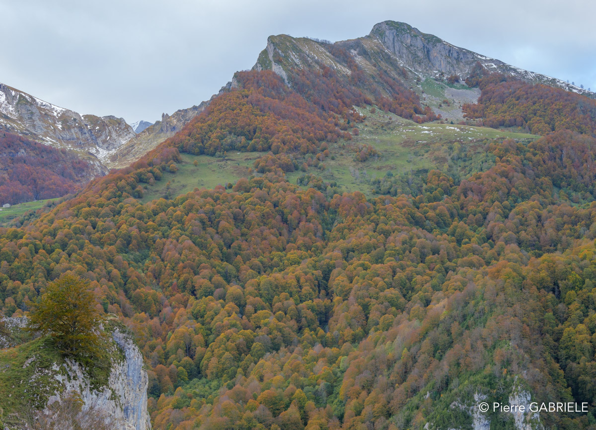 soulor-gh7_3236.jpg