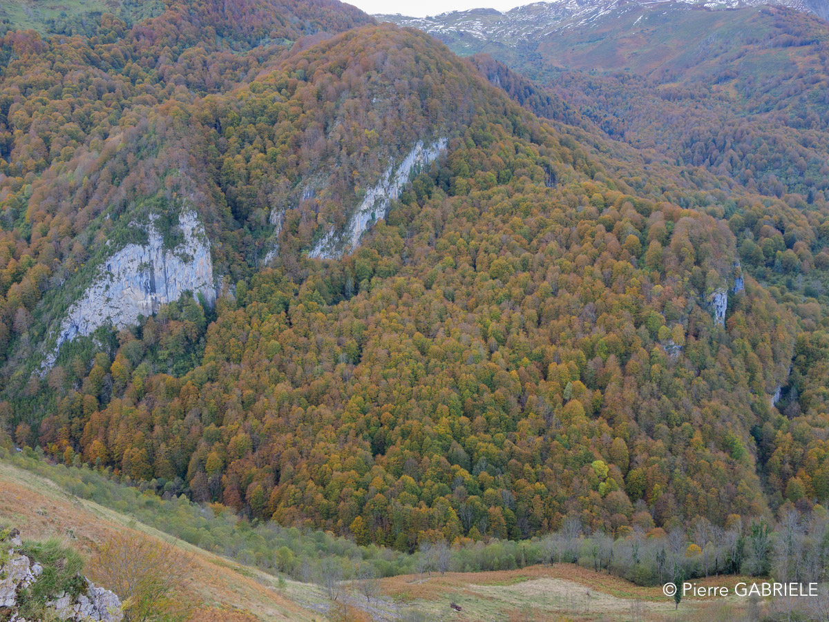 soulor-gh7_3237.jpg