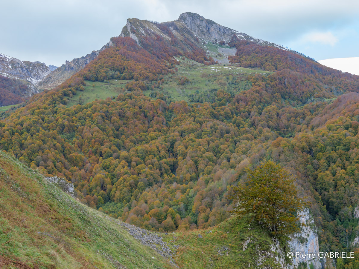 soulor-gh7_3239.jpg