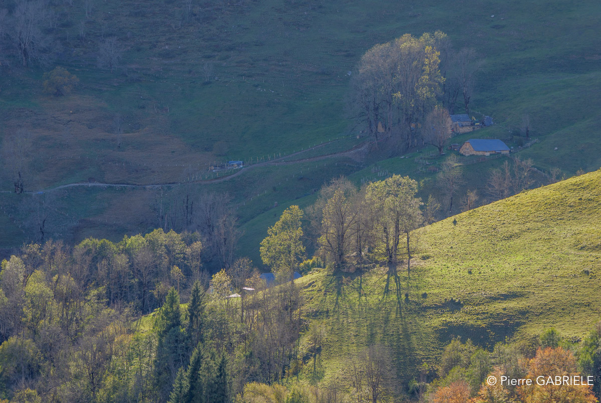soulor-gh7_3244.jpg