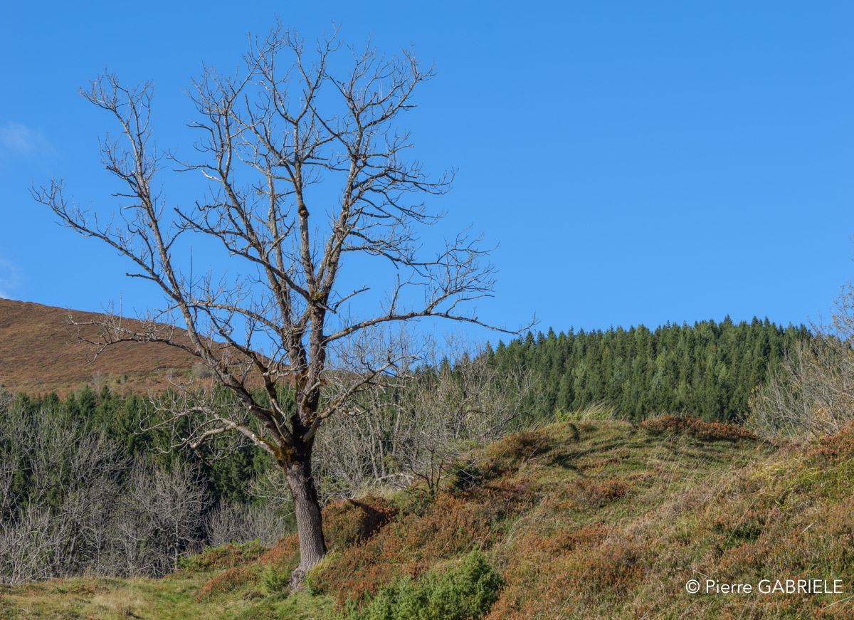 soulor-gh7_3245.jpg