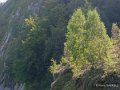 aubisque-soulor-gh6_6321