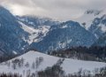 benou-gh6_4732