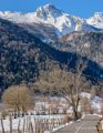 benou-gh6_4794