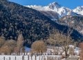 benou-gh6_4795