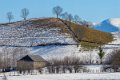 benou-gh6_4797