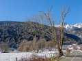 benou-gh6_4798