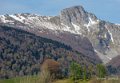 benou-gh6_4889