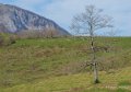 benou-gh6_4897