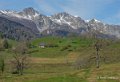 benou-gh6_4898