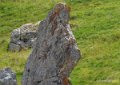 lepourtalet-gh7_2269