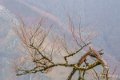 lescun-depuis-belvedere-a74_01119