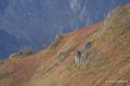 lescun-depuis-belvedere-a74_01124