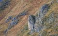 lescun-depuis-belvedere-a74_01129