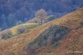 lescun-depuis-belvedere-a74_01132