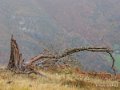 lescun-depuis-belvedere-gh7_3294
