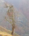 lescun-depuis-belvedere-gh7_3300