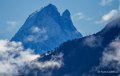 ossau-benou--a74_01407