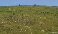 pays-basque-a74_0304