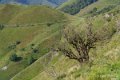 pays-basque-a74_0305