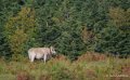 pierre-st-martin-a74_00414