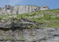 route-aubisque-gh6_5424