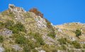 soulor-A74_01056