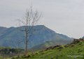 soulor-gh6_4918