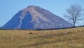 benou-a74_01559